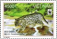 sos viet nam 3392 2010