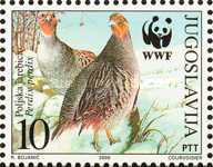 [Birds - World Wildlife Fund, type DJO]