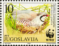 [Birds - World Wildlife Fund, type DJQ]