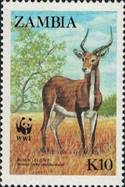 sos zambia 430  1987