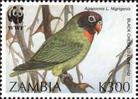 sos zambia 655  1996